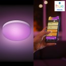 Philips Hue 40905/31/P9 mennyezeti lámpa Flourish 1x32W|2200-6500K|RGB - Bluetooth, White and Color Ambiance