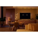 Philips Hue 8719514301542 LED szénszálas izzó  G125 1x7W | E27 | 550lm | 2200-4500K - White Ambiance, szabályozható, Bluetooth