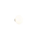 Trio TR27771101 LED fali lámpa EARL | 1,5W integrált LED forrás