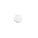 Trio TR27771101 LED fali lámpa EARL | 1,5W integrált LED forrás