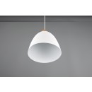 Trio R30681031 mennyezeti függőlámpa Jagger 1x40W | E27 - fa, fehér