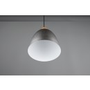 Trio R30681067 mennyezeti függőlámpa Jagger 1x40W | E27 - nikkel