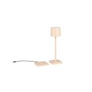 Trio TR54096166 LED asztali lámpa FERNANDEZ | 1,5W integrált LED forrás