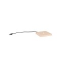 Trio TR54096166 LED asztali lámpa FERNANDEZ | 1,5W integrált LED forrás