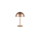Trio TR54891165 LED asztali lámpa MUNOZ | 1,3W integrált LED forrás