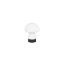 Trio TR54981131 LED asztali lámpa DOOLEY | 1,5W integrált LED forrás