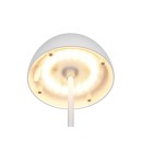 Trio TR55601131 LED asztali lámpa ORTIZ | 2W integrált LED forrás