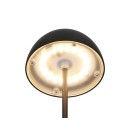 Trio TR55601132 LED asztali lámpa ORTIZ | 2W integrált LED forrás