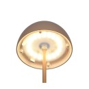 Trio TR55601165 LED asztali lámpa ORTIZ | 2W integrált LED forrás