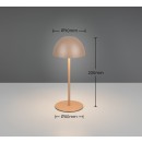 Trio TR55601165 LED asztali lámpa ORTIZ | 2W integrált LED forrás
