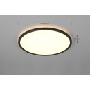 Trio TR63011902 LED mennyezetre szerelhető lámpa JOKO  | 22W integrált LED forrás | 1x2700lm | 2700-6500K | fényerőszabályzó | távirányítás | fekete