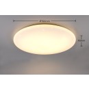 Trio TR65941101 LED mennyezetre szerelhető lámpa NANDO  | 42W integrált LED forrás | 1x5200lm | 2700+4000+6000K | Trio - SwitchDimmer | fehér