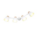 Trio TR81924031 mennyezeti spotlámpa VALENTIN E14