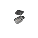 Trio TR86421732 fali spotlámpa JACK  | 10W E27 | kapcsolóval | fekete | füstös