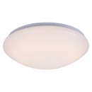 Rabalux 3934 LED mennyezetre szerelhető lámpa Igor 16W|3000-6500K