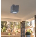 RABALUX 8149 Akron kültérimennyezeti lámpa GU10 1x35W
