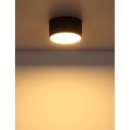 Globo RAYMOND 56964S LED mennyezeti lámpák | 12W LED | 900lm | 3000K