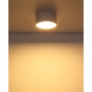 Globo RAYMOND 56964W LED mennyezeti lámpák | 12W LED | 900lm | 3000K
