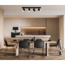 Italux SPL-31991-4B-BK LED mennyezeti spotlámpa Helvia | 4x5W integrált LED forrás | 4000K
