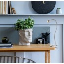 Globo 24109K LED csíptetős lámpa Serpent 1x3W | 180lm | 3000K - mozgatható kar, kapcsoló a lámpán, matt nikkel