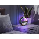 Globo 39907S LED asztali lámpa SOUNDRA  | 4W integrált LED forrás | kapcsolóval