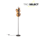 Trio SELECT  T417400742 állólámpa BUBBLE   G9