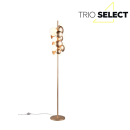 Trio SELECT  T417400779 állólámpa BUBBLE   G9