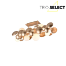 Trio SELECT  T617400879 mennyezetre szerelhető lámpa BUBBLE   G9
