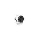 Trio Reality TR045-01 LED ventilátor világítással TEMPEST | 1W integrált LED forrás