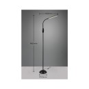 Trio Reality TR47641102 LED állólámpa TORO | 5W integrált LED forrás | 700lm | 3000+4000+5000K