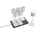 Trio Reality TR54096631 LED kültéri asztali lámpa FERNANDEZ | 1,5W integrált LED forrás | 130lm | 4000K
