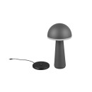 Trio Reality TR57716142 LED kültéri asztali lámpa FUNGO | 2W integrált LED forrás | 200lm | 3000+4000+5000K