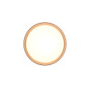 Trio Reality TR64391080 LED mennyezetre szerelhető lámpa FELIS | 24W integrált LED forrás | 2500lm | 2700-6500K