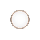 Trio Reality TR64391080 LED mennyezetre szerelhető lámpa FELIS | 24W integrált LED forrás | 2500lm | 2700-6500K