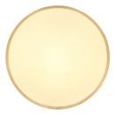Globo 12381-22 LED mennyezetre szerelhető lámpa TIBEY | 22W integrált LED forrás | 1800lm | 3000K