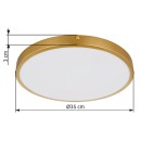 Globo 12381-22 LED mennyezetre szerelhető lámpa TIBEY | 22W integrált LED forrás | 1800lm | 3000K