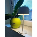 Immax 08497L LED napelemes kültéri asztali lámpa CARO | 4W integrált LED forrás | 150lm | 2700K