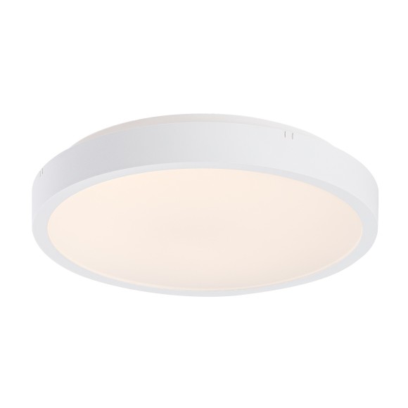 Rabalux 98071425 LED kültéri mennyezeti lámpa Alenzo  | 12W integrált LED forrás | 790lm | 3000+4000+6500K
