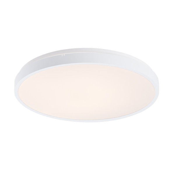 Rabalux 98071430 LED kültéri mennyezeti lámpa Alenzo  | 36W integrált LED forrás | 2450lm | 3000-6000K
