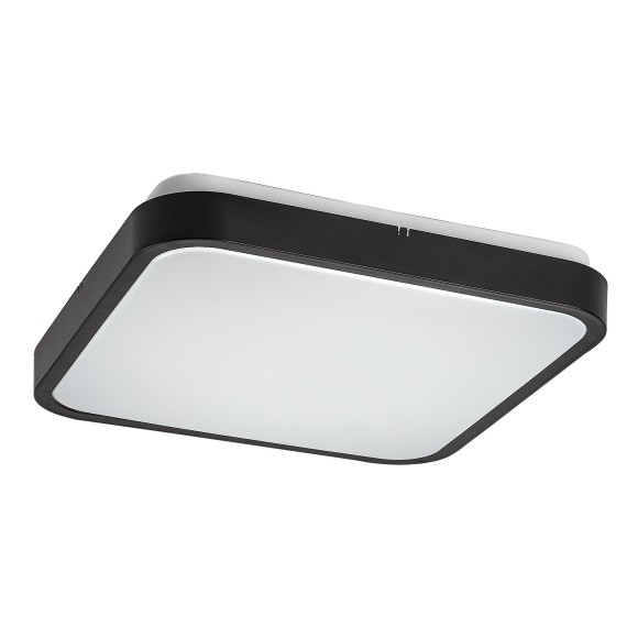 Rabalux 98071432 LED kültéri mennyezeti lámpa Alenzo  | 24W integrált LED forrás | 1450lm | 3000+4000+6500K
