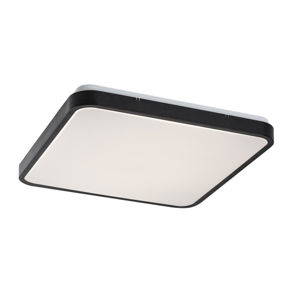 Rabalux 98071433 LED kültéri mennyezeti lámpa Alenzo  | 36W integrált LED forrás | 2270lm | 3000+4000+6500K