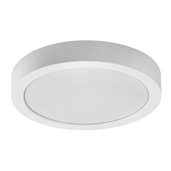 Rabalux 75072 LED kültéri mennyezeti lámpa ShaunPlus | 24W integrált LED forrás | 2600lm | 4000K | fehér