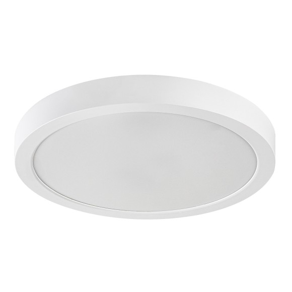 Rabalux 75073 LED kültéri mennyezeti lámpa ShaunPlus | 30W integrált LED forrás | 3000lm | 4000K | fehér