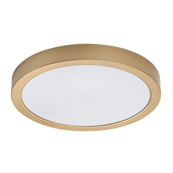 Rabalux 75079 LED kültéri mennyezeti lámpa ShaunPlus | 30W integrált LED forrás | 3000lm | 4000K | aranyszínű