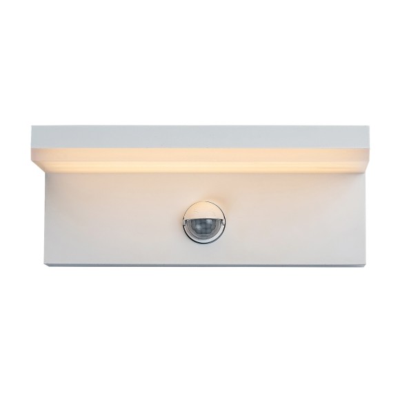 Rabalux 98077116 LED kültéri fali lámpa Zaragoza  | 9W integrált LED forrás | 850lm | 2700+4000K