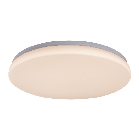 Rabalux 98077139 LED kültéri mennyezeti lámpa Lowar  | 24W integrált LED forrás | 1450lm | 3000K