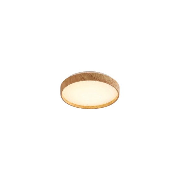 Rabalux 98071143 LED mennyezetre szerelhető lámpa LEANA2  | 12W integrált LED forrás | 730lm | 3000K