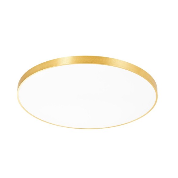 Zuma Line 003064-021971 LED mennyezetre szerelhető lámpa SIERRA integrált LED forrás