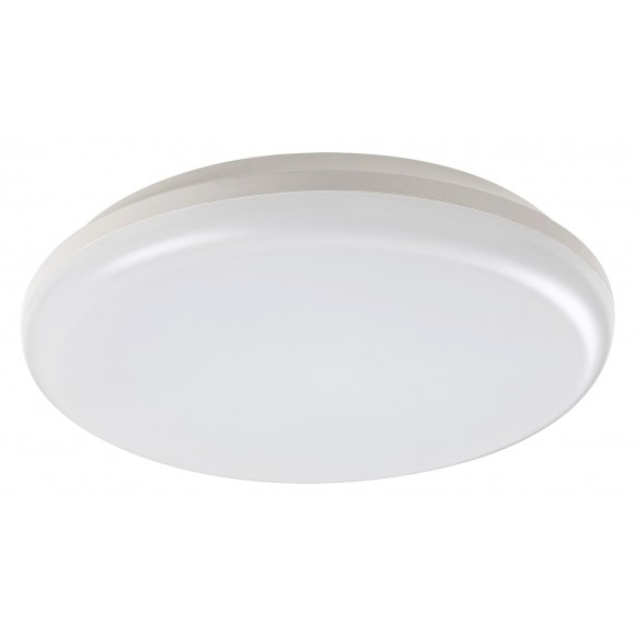 Rabalux 98007979 LED kültéri mennyezeti lámpa Eric 1x24W|4000K|IP64