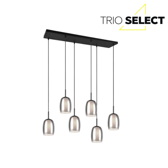 Trio SELECT  T317500654 mennyezeti függőlámpa BARRET   E14